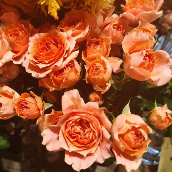 今月もありがとうございました😊