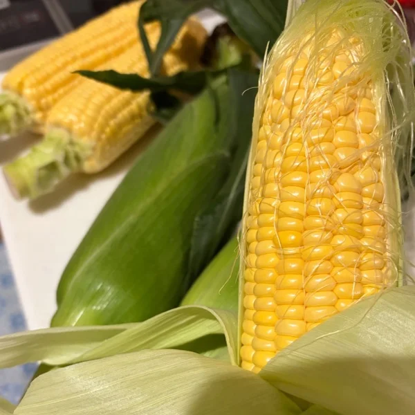 とうもろこしの季節🌽.*゚