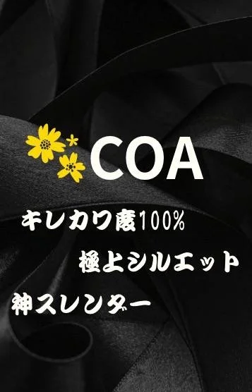 👑コア