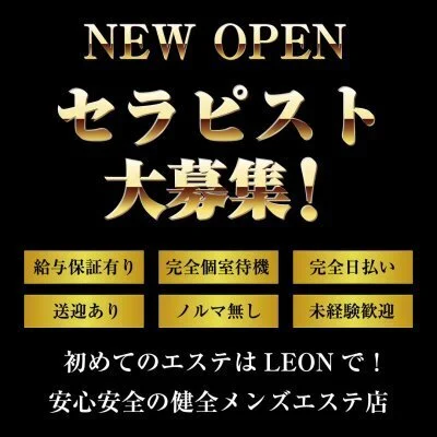 LEONのメリットイメージ(3)