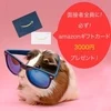 バック率は55％から！がんばればさらに上がります！のサムネイル