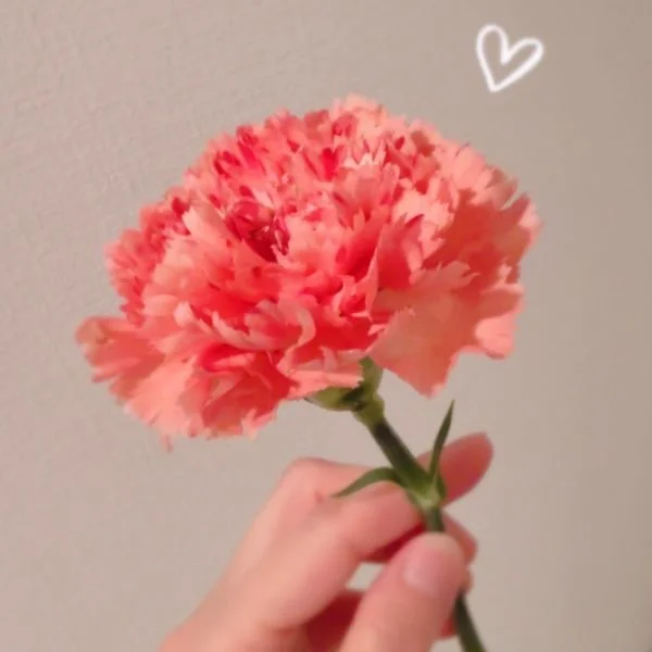 GWお越しただいたお兄様方、ありがとうございました☺️