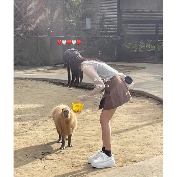 7月の始まり🍉