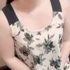 葵(あおい)
