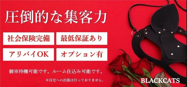 BLACKCATSの求人募集イメージ2