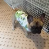 まだまだ。。のサムネイル
