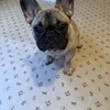 9月も。のサムネイル