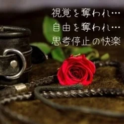 お店のコースその1