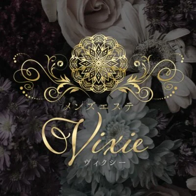 Vixie ヴィクシーのアイコン画像