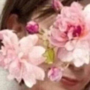 ひめか>の写真