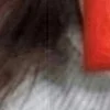 まいな