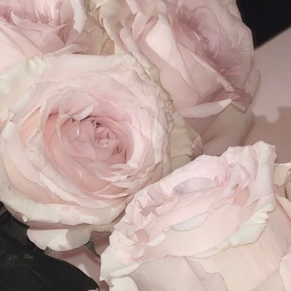 💌N様♡