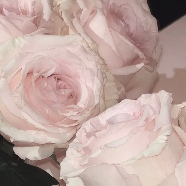 💌S様♡