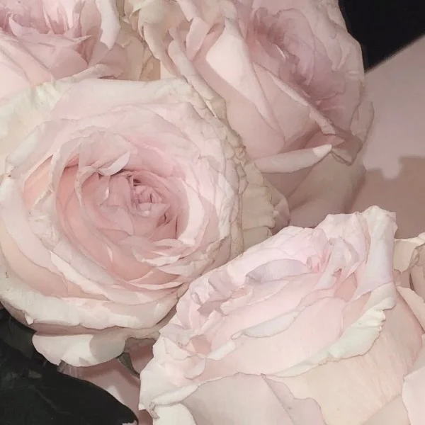 💌N様♡