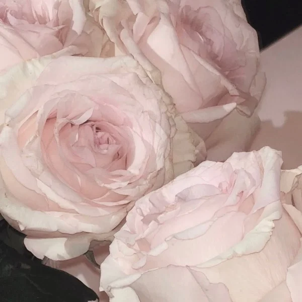 💌S様♡