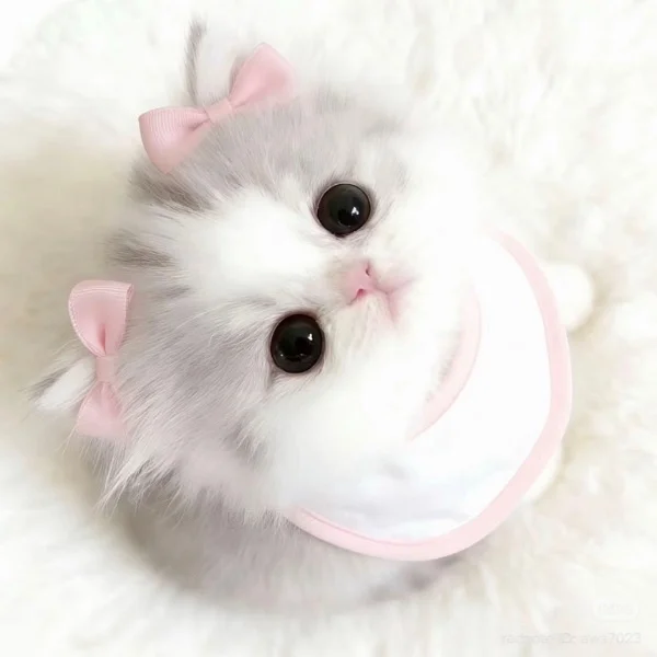 🎀昨日のお礼♡