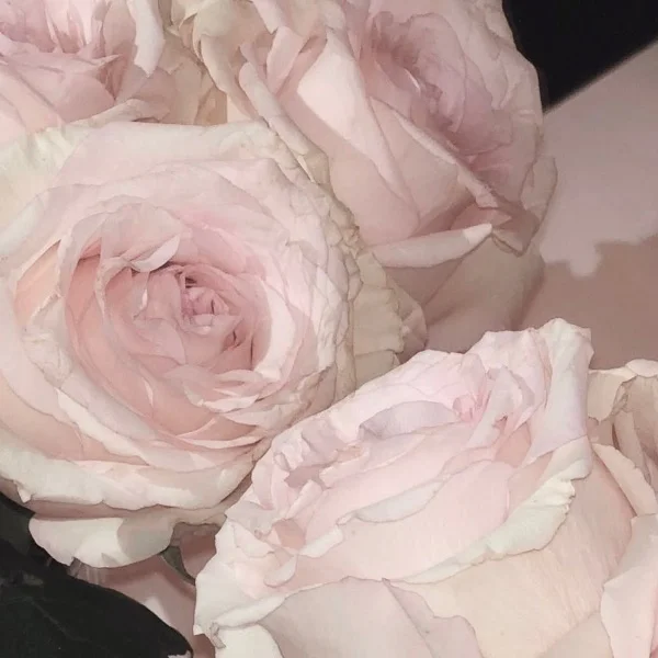 💌D様♡
