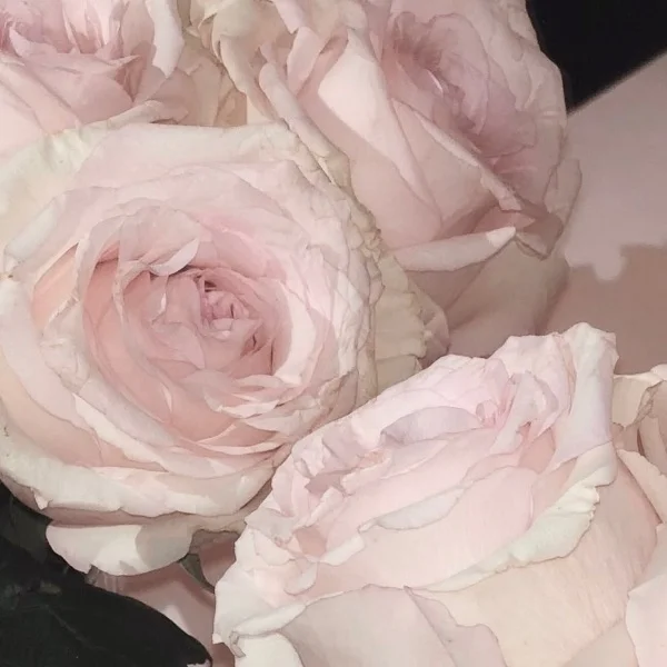 💌I様♡