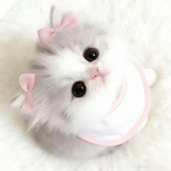 💌昨日のお礼♡