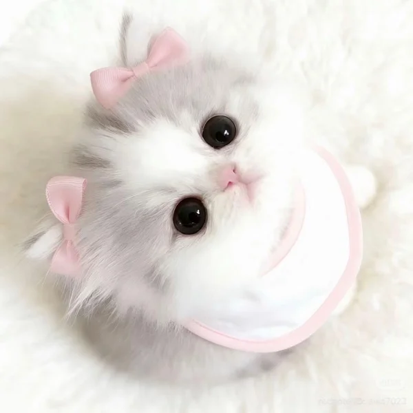 💌昨日のお礼♡