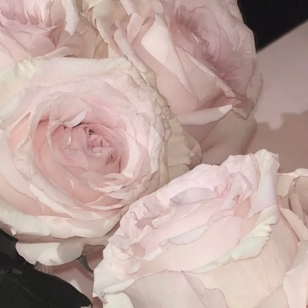 💌T様♡