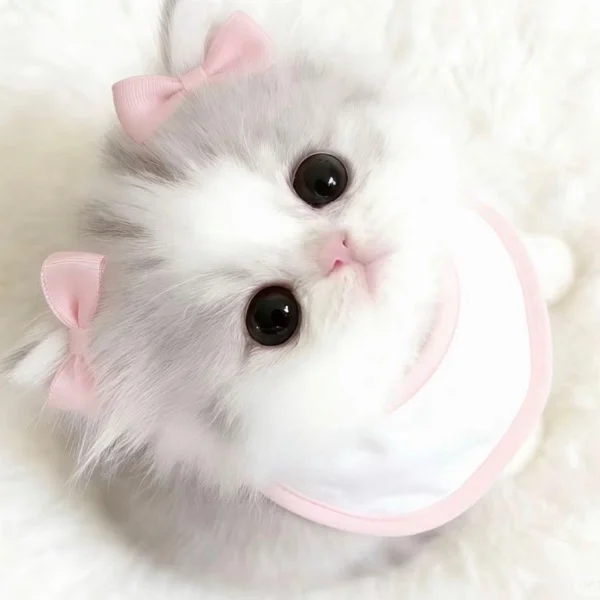 💌本日のお礼♡