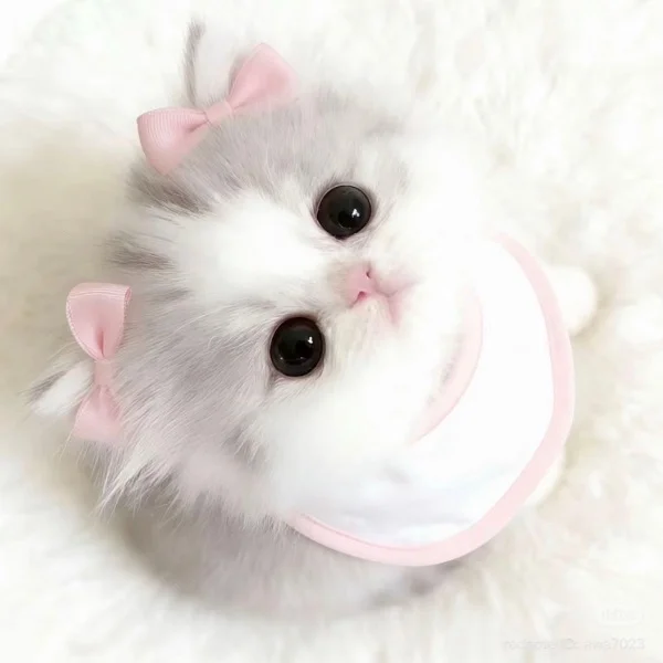 💌昨日のお礼♡