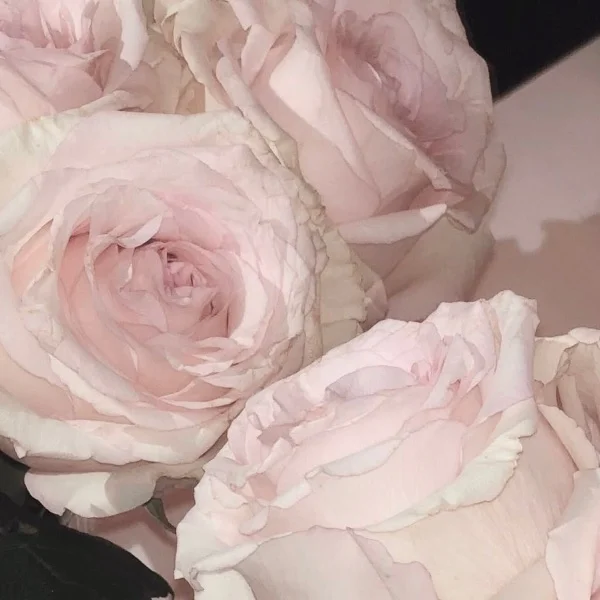 💌W様♡