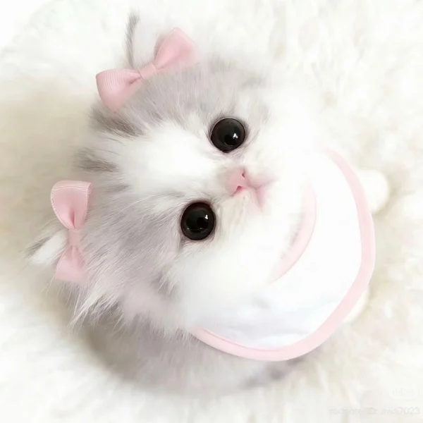💌25日のお礼♡