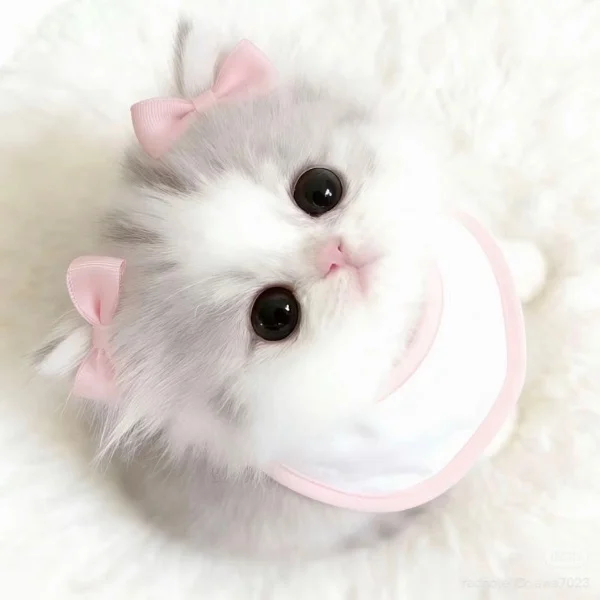 💌昨日のお礼♡