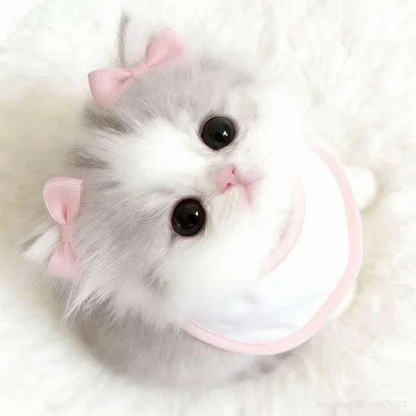 💌本日のお礼♡