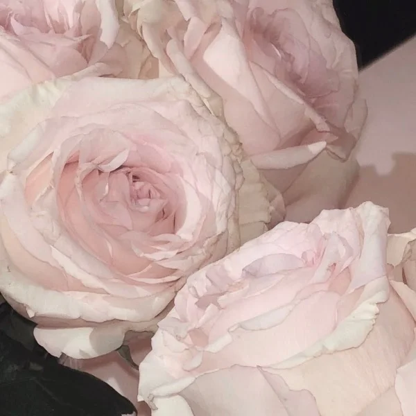 💌I様♡