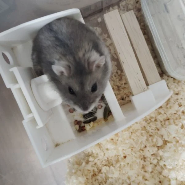 やーすみ♪