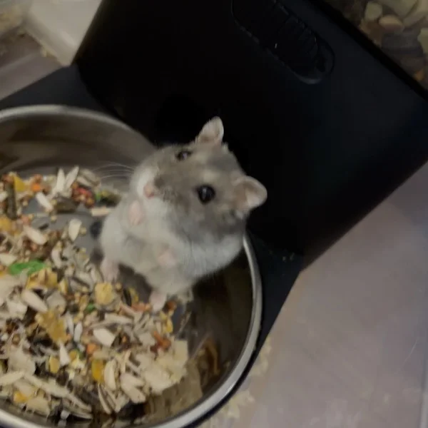 太っちゃった…