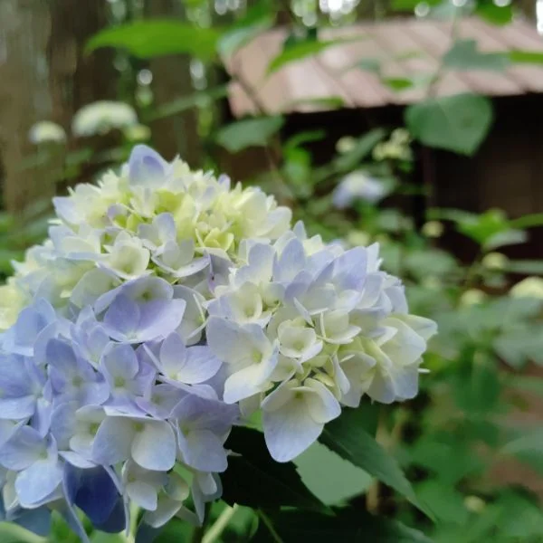 今日も沢山喋って笑った1日🎀