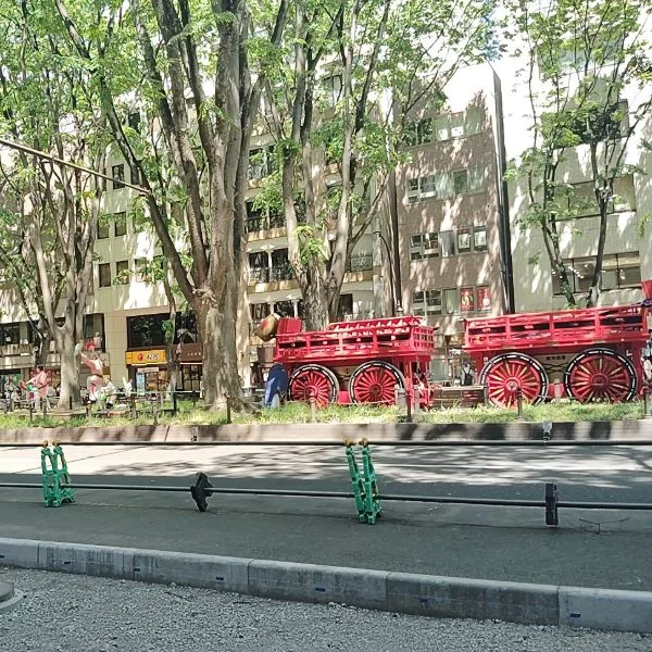 新緑感じた🌳