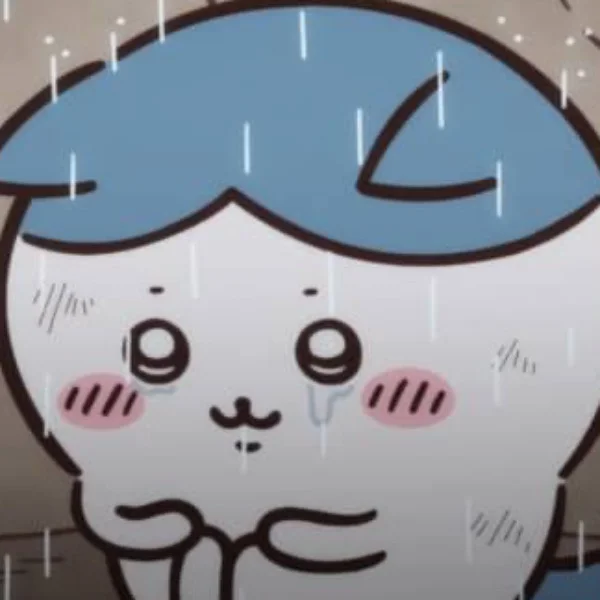 今日暑いな~~☀️