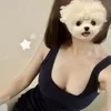 原ここあ