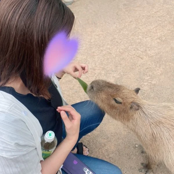 動物園でバイトしたい🐯🐻🐵🐘