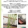 なるみ