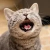 入店までの流れをご紹介します♪のサムネイル