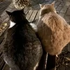 入店までの流れをご紹介します♪のサムネイル
