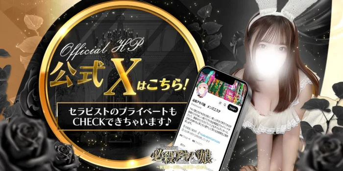 必殺アキバ娘