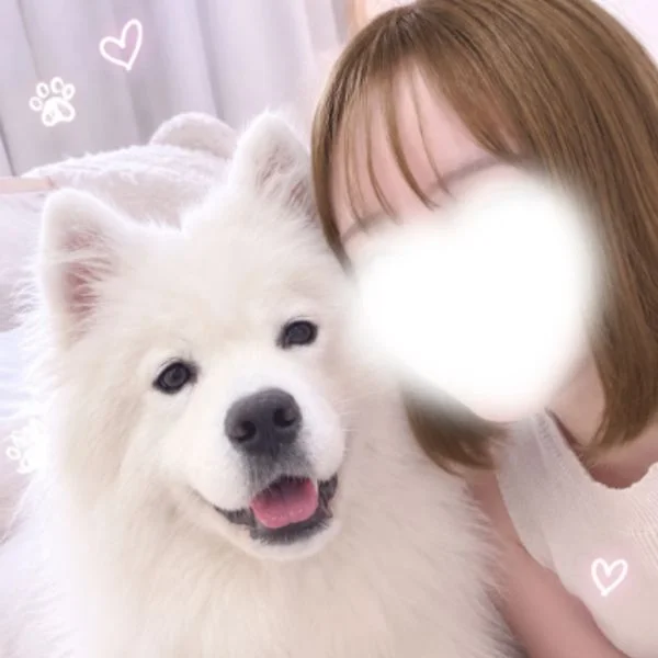 このです🪽