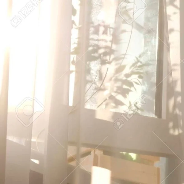 本日出勤です🎨