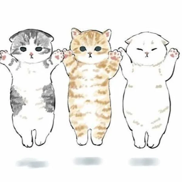 ✨