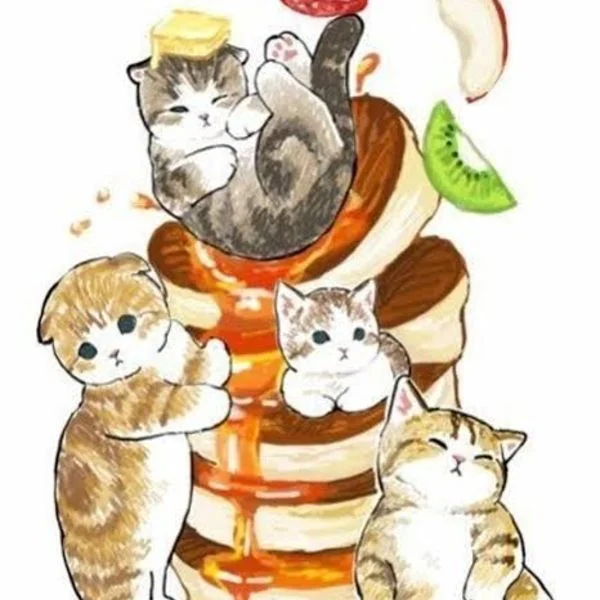 ✨