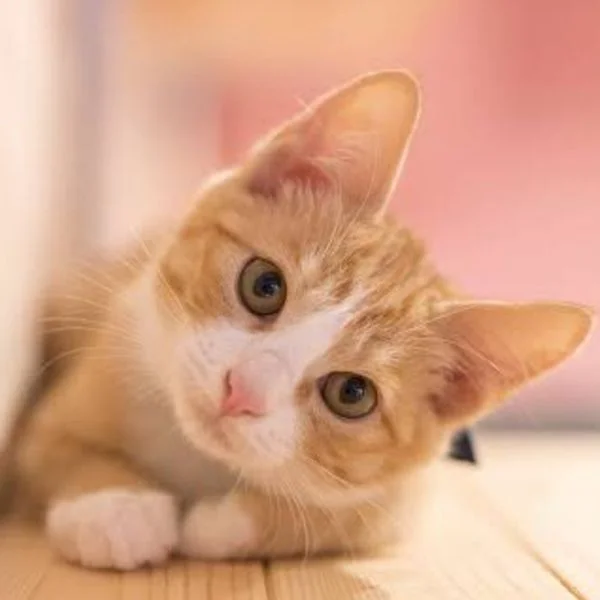 ありがとう😆💕