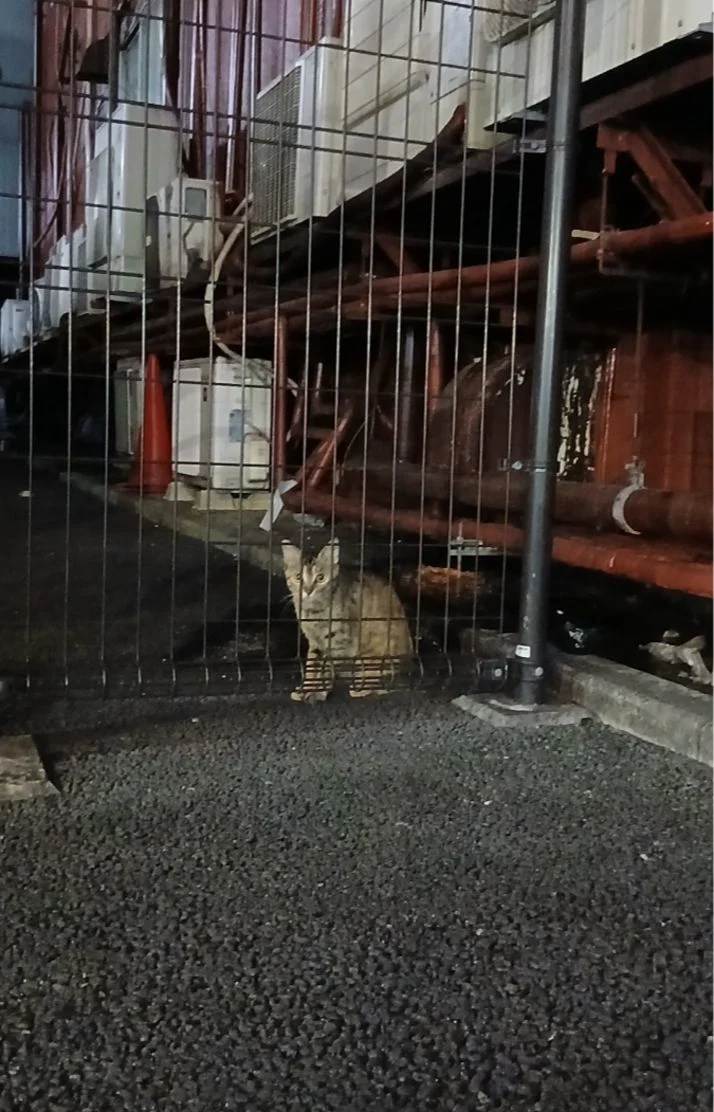 出勤しました～