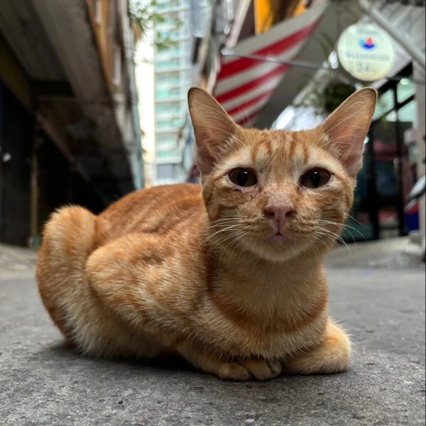 有り難うございました❣️